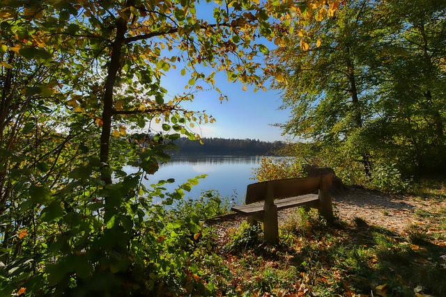 盧克巴的年 盧克巴的年