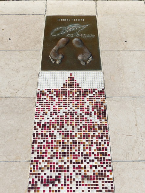 因海而跑 向海而兴！2021越山向海人车接力海南年终巅峰赛圆满落幕.