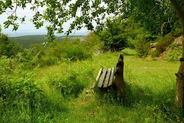 媒体人：成都蓉城降低姿态以消除空看台事件影响，挽回球迷的心.